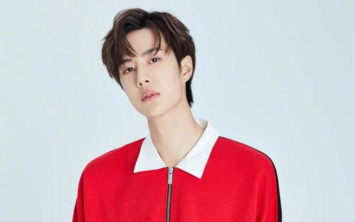 宋威龙王一博最新爆料,揭秘幕后故事与精彩瞬间